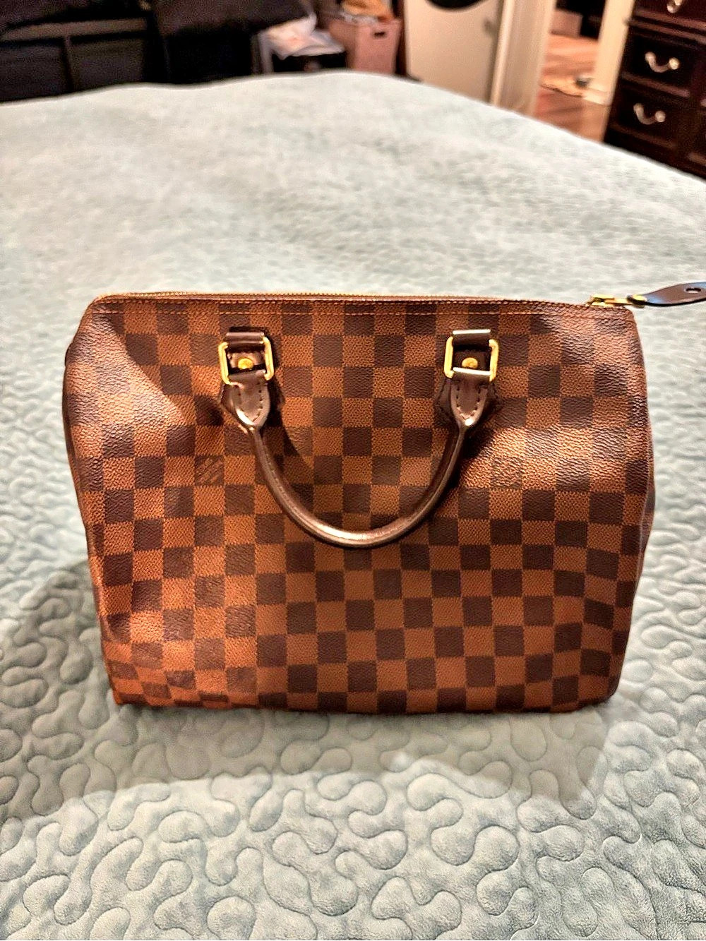 Louis Vuitton Speedy 30 Damier Ebene Satchel Brown